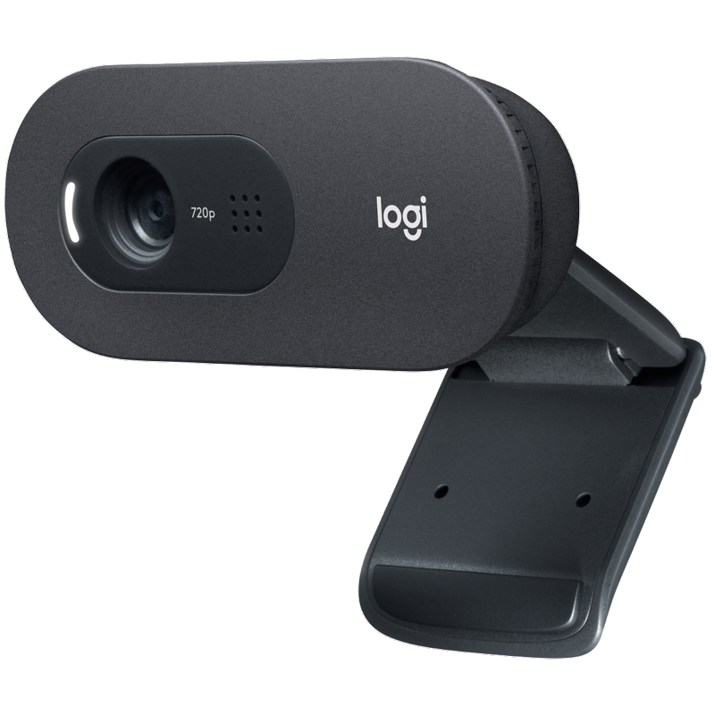 Logitech C505 Webcam