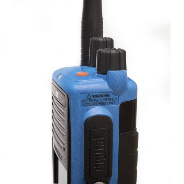Entel DT944 ATEX