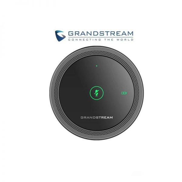 Grandstream GMD1208