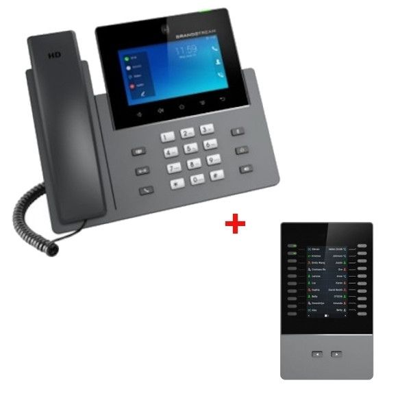 Grandstream GXV3350 + Expansion module