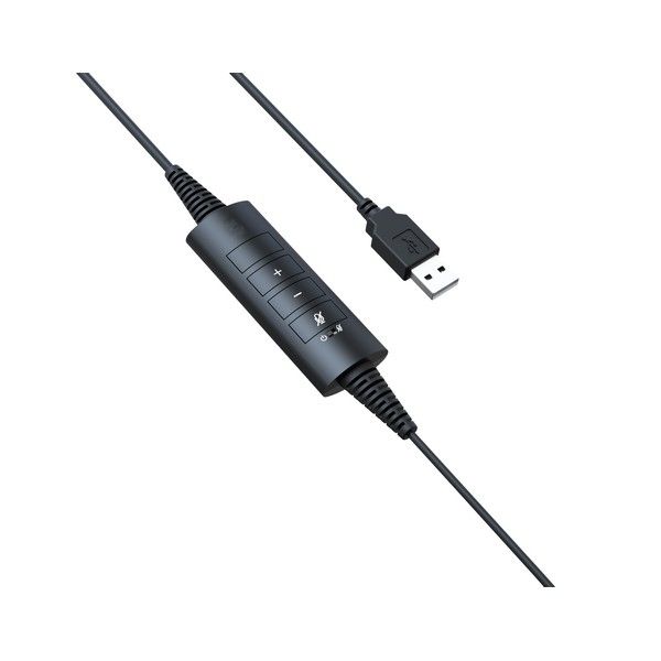 Cleyver HC60 USB mono 