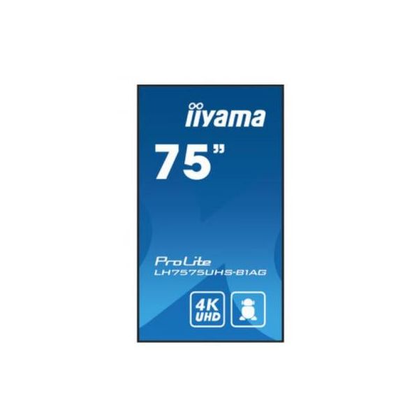 iiyama 75