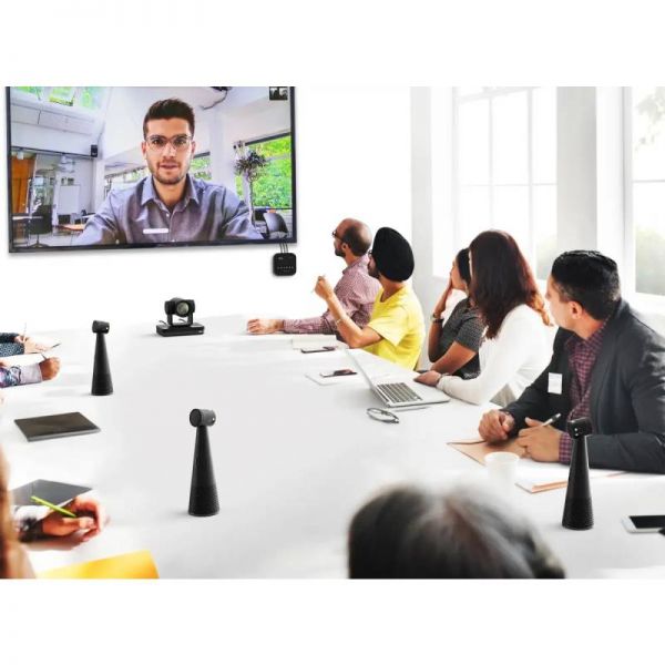 Ipevo vocal hub + 6 totems
