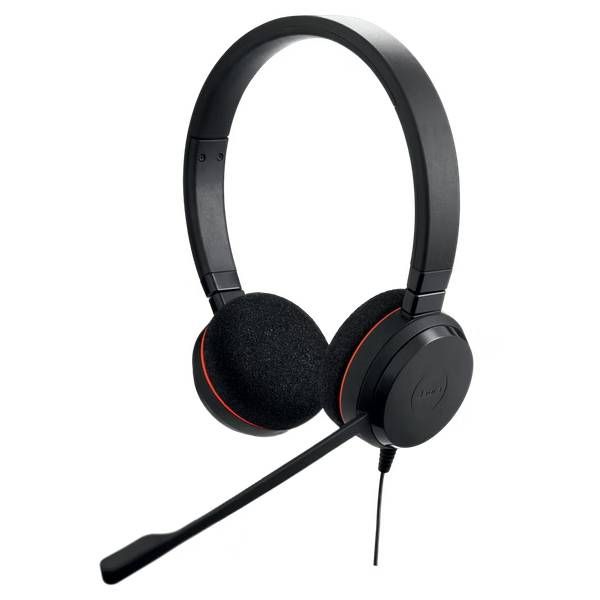 Jabra Evolve 20 USB-C MS - Stereo Headset 