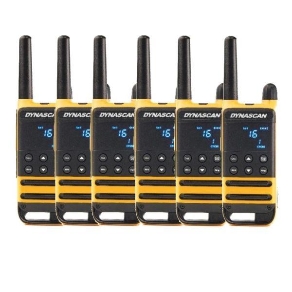 Dynascan P19 Six-Pack