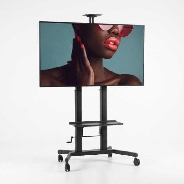 Pack Sony BRAVIA BZ40L 75’’ + Vision VFM-F26