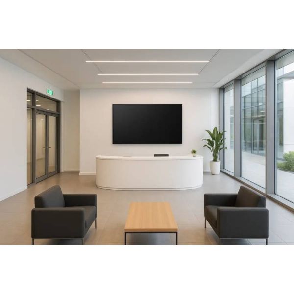 Sony Bravia 55XR8M2 on the wall