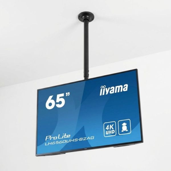 Neomounts FPMA-C340BLACK ceiling mount with iiyama 65