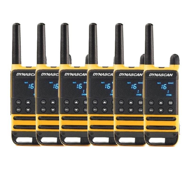 Dynascan P19 Six-Pack