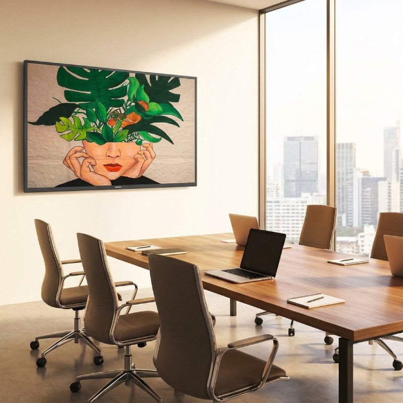 Philips D-Line 55BDL4511D 55-inch 4K TV