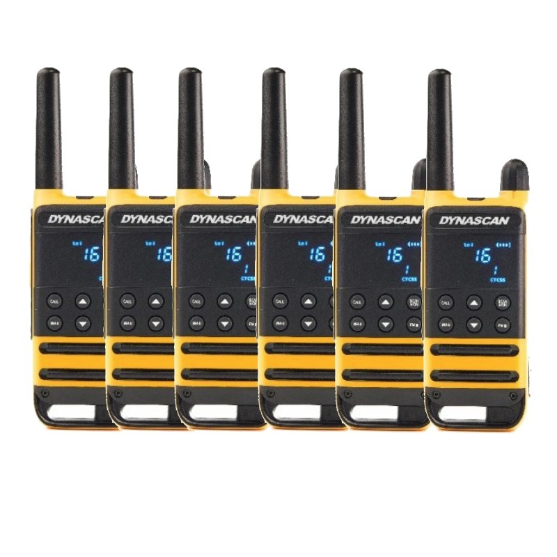 Dynascan P19 Six-Pack