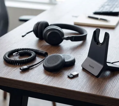Accessories for professional headphones: ear pads, cables and adaptors