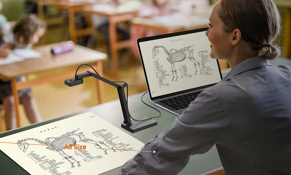 Professional document visualisers