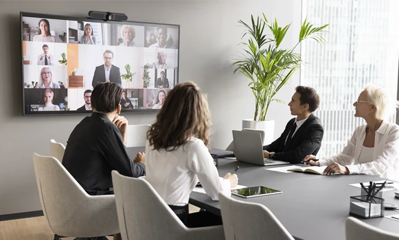 Professional displays